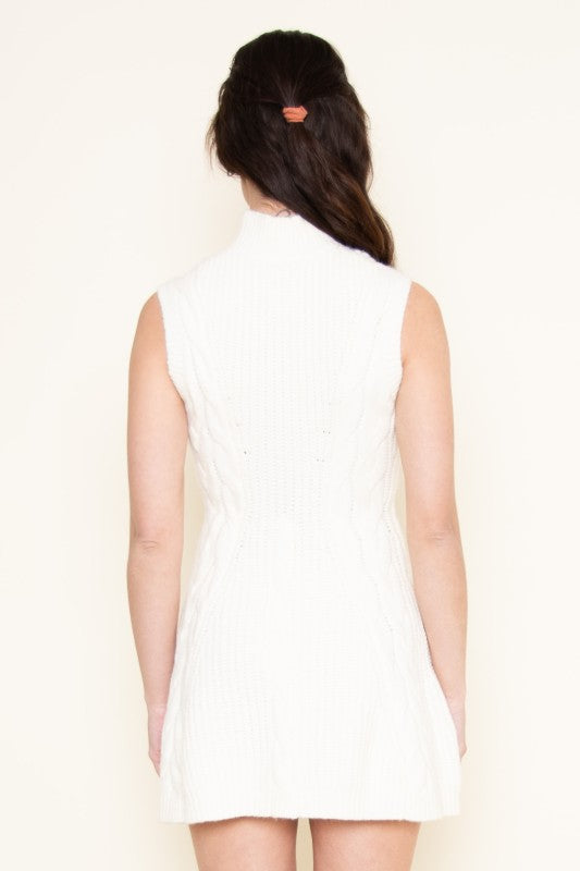 Winter Knit Mini Dress