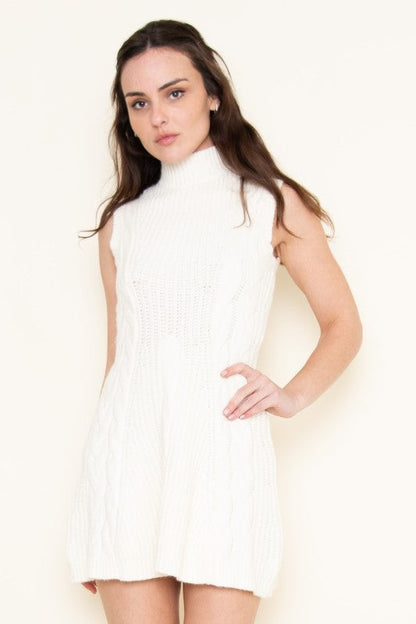 Winter Knit Mini Dress