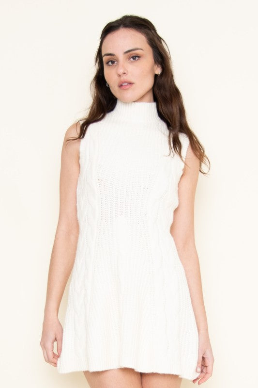 Winter Knit Mini Dress