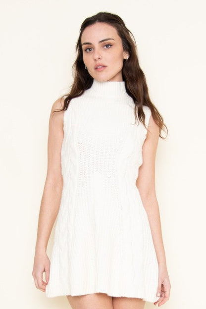Winter Knit Mini Dress