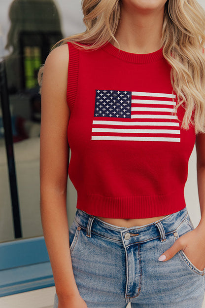 Fireworks and Freedom Knit Top