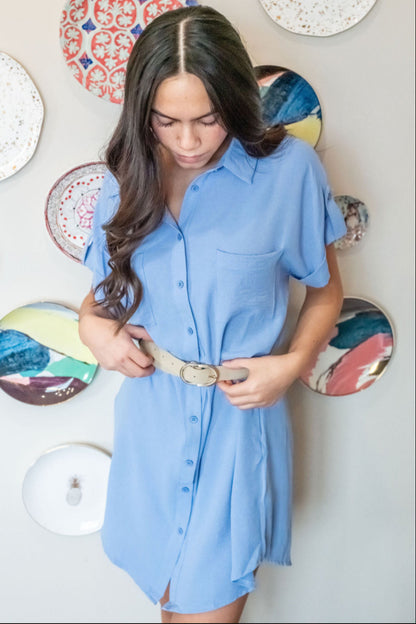 Saturday Stroll Mini Dress