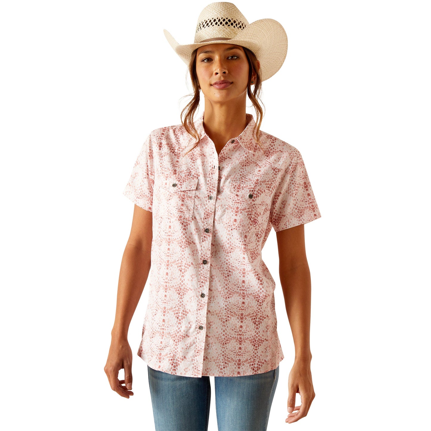 ARIAT BRUSH STROKE PRINT VENTTEK SHIRT